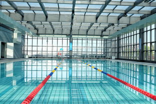 开云体育在线官网-世界游泳锦标赛中国运动员连续夺牌，世界游泳锦标赛中国运动员连续夺牌几次